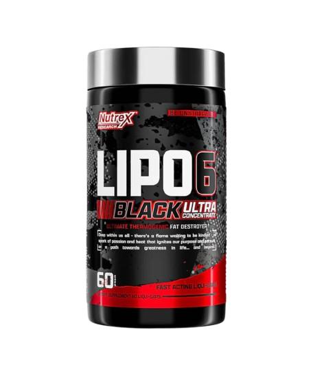 Lipo 6